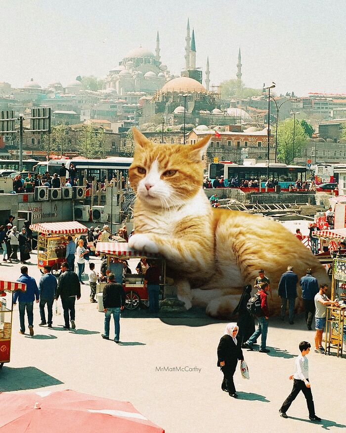 Giant cat lounging in a bustling urban market scene, illustrating a surreal parallel universe with giant cats reigning.