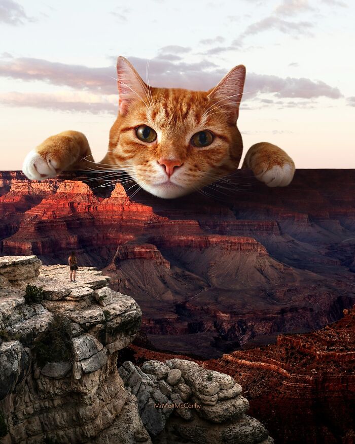 Surreal parallel universe featuring a giant cat towering over a vast canyon landscape with a small human figure below.