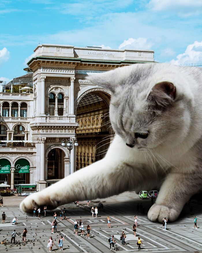 Giant cat in surreal parallel universe interacts with people in a city square, showcasing imaginative giant cats artwork.