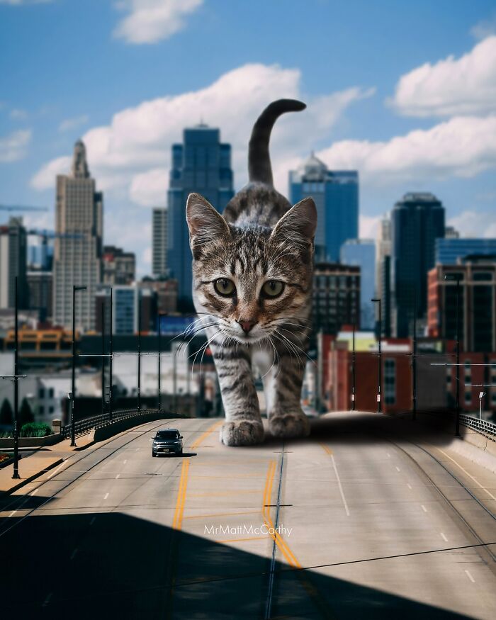 Giant cat walking down an empty city street with skyscrapers, depicting a surreal parallel universe where giant cats reign.