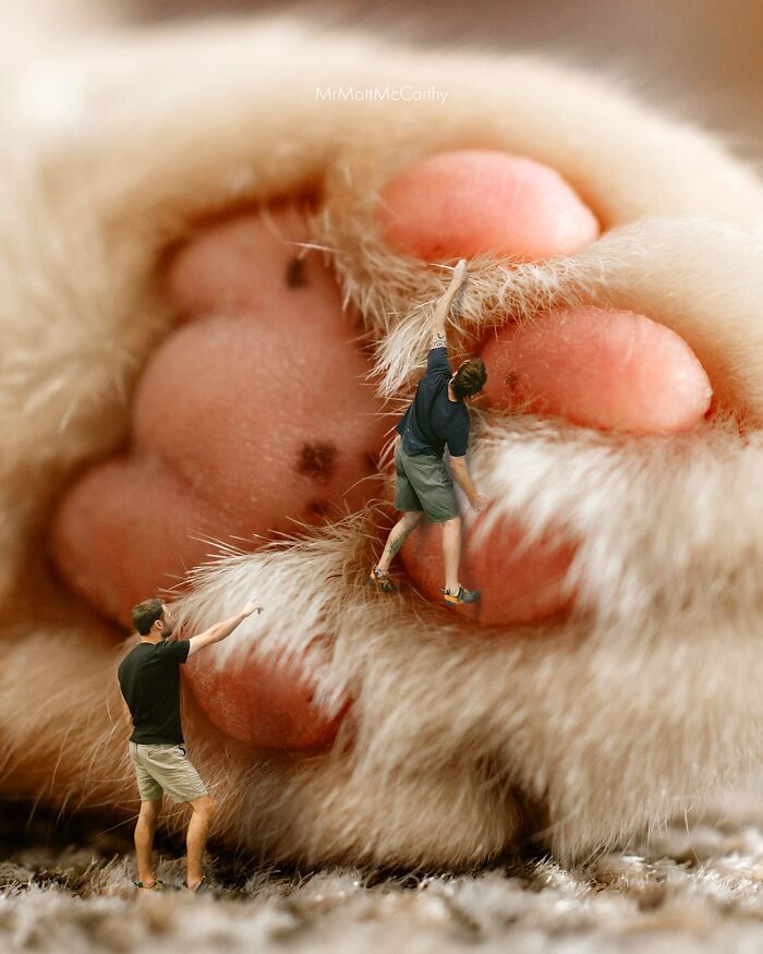 Surreal parallel universe scene with giant cats’ paws and tiny humans interacting in imaginative artwork.