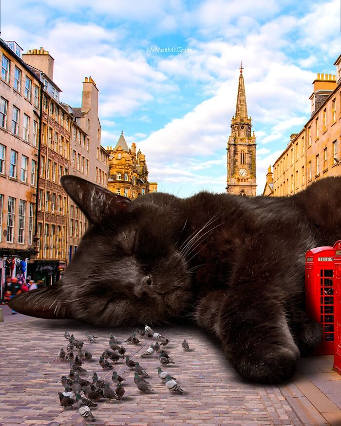 A giant black cat sleeping on a city street in a surreal parallel universe where giant cats reign.