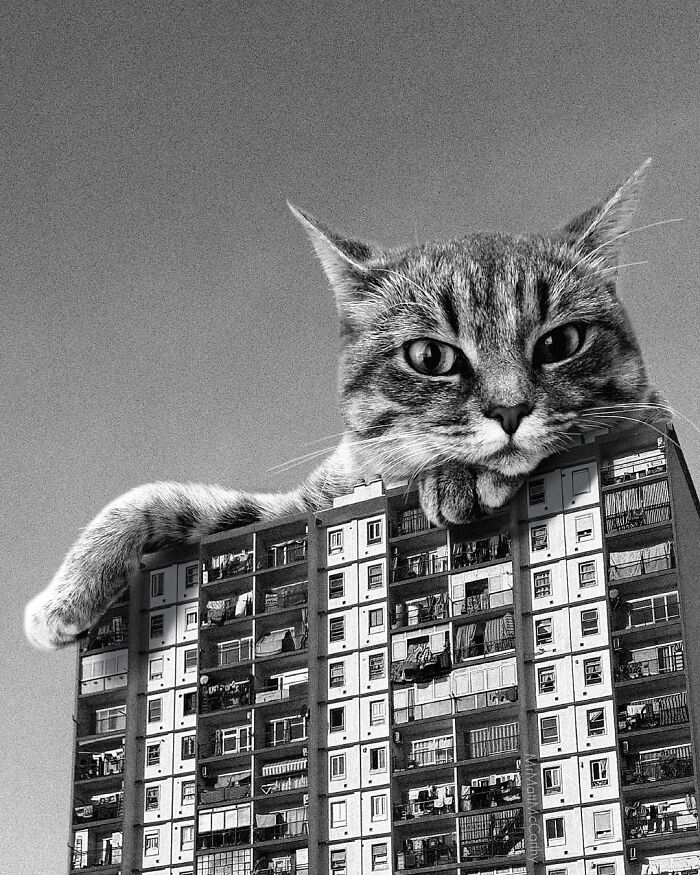 Giant cat lounging on top of a building in a surreal parallel universe imagined by an artist.