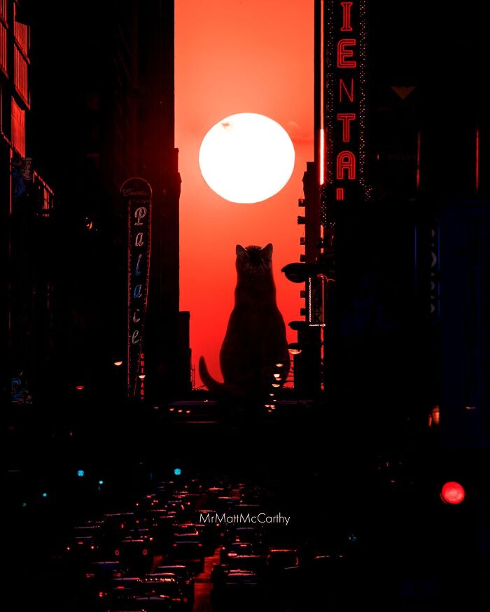 Giant cat silhouette over city street at sunset in a surreal parallel universe with glowing neon signs.