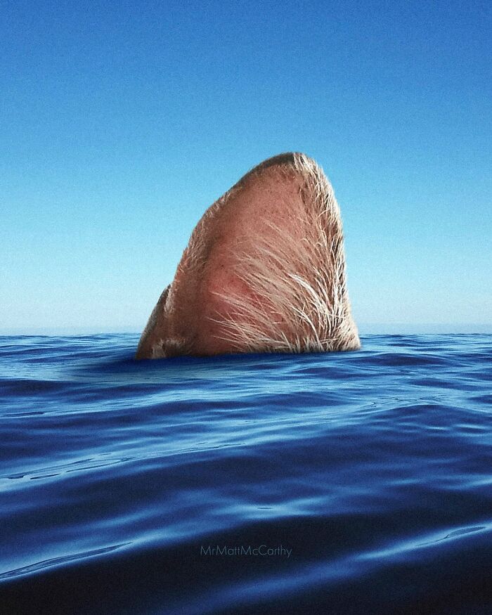 Surreal parallel universe with giant cat ear emerging from calm ocean under clear blue sky.