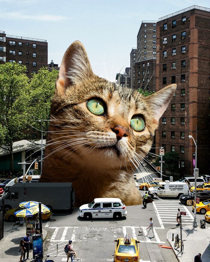 Giant cat towering over city streets in a surreal parallel universe with enormous feline presence and urban buildings.