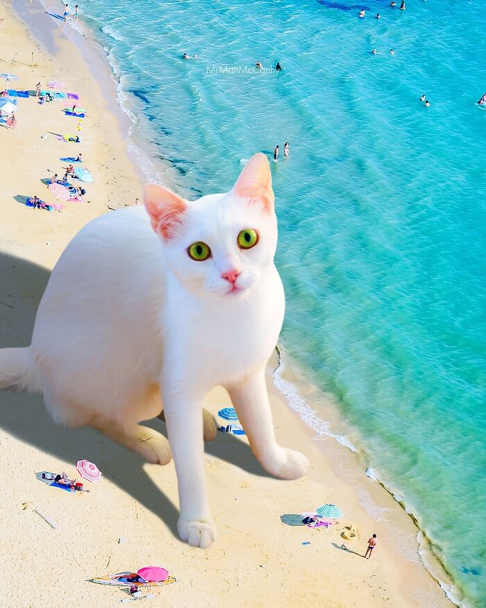 Giant white cat with green eyes towering over beach and ocean in a surreal parallel universe artwork.