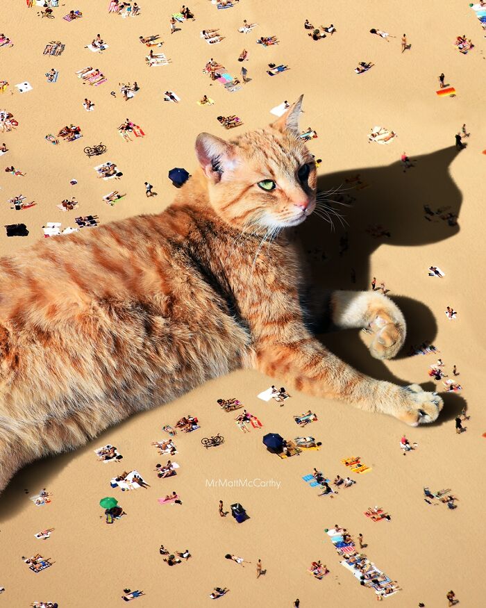 Giant cat lounging on sand with tiny people and umbrellas, depicting a surreal parallel universe with giant cats.