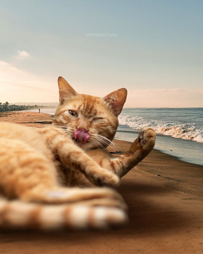 Surreal parallel universe with a giant cat lounging on the beach, tongue out and paw raised at sunset.