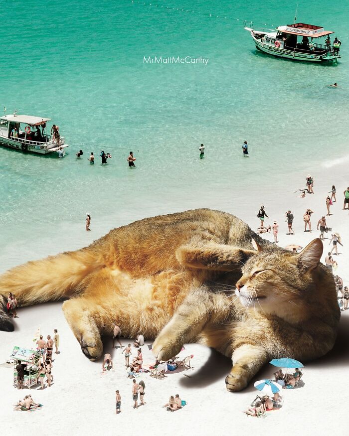 Giant cat lounging on a beach with tiny people and boats in a surreal parallel universe art piece.