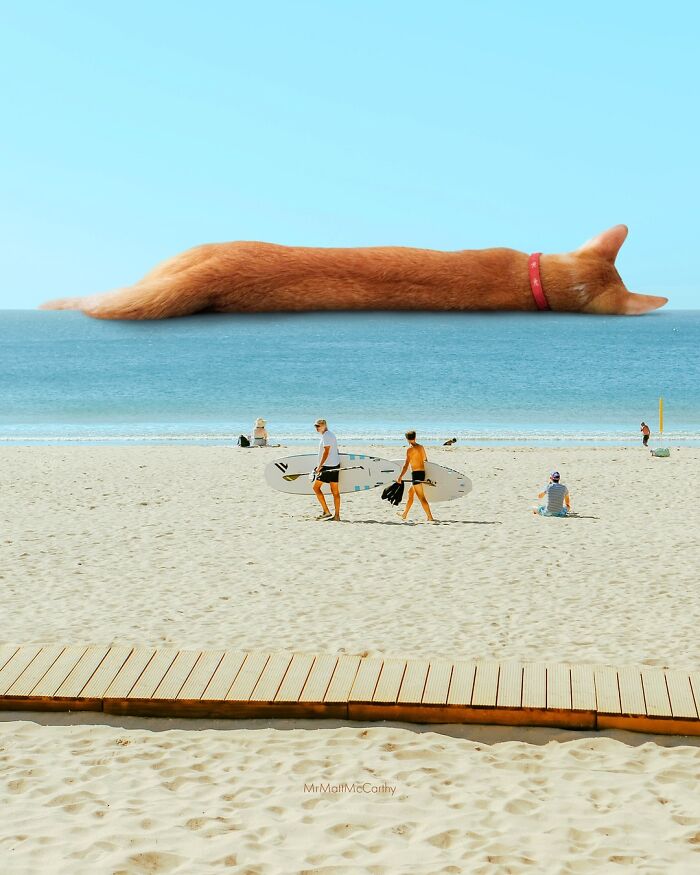 Surreal parallel universe where a giant cat sleeps across the ocean behind beachgoers with surfboards.