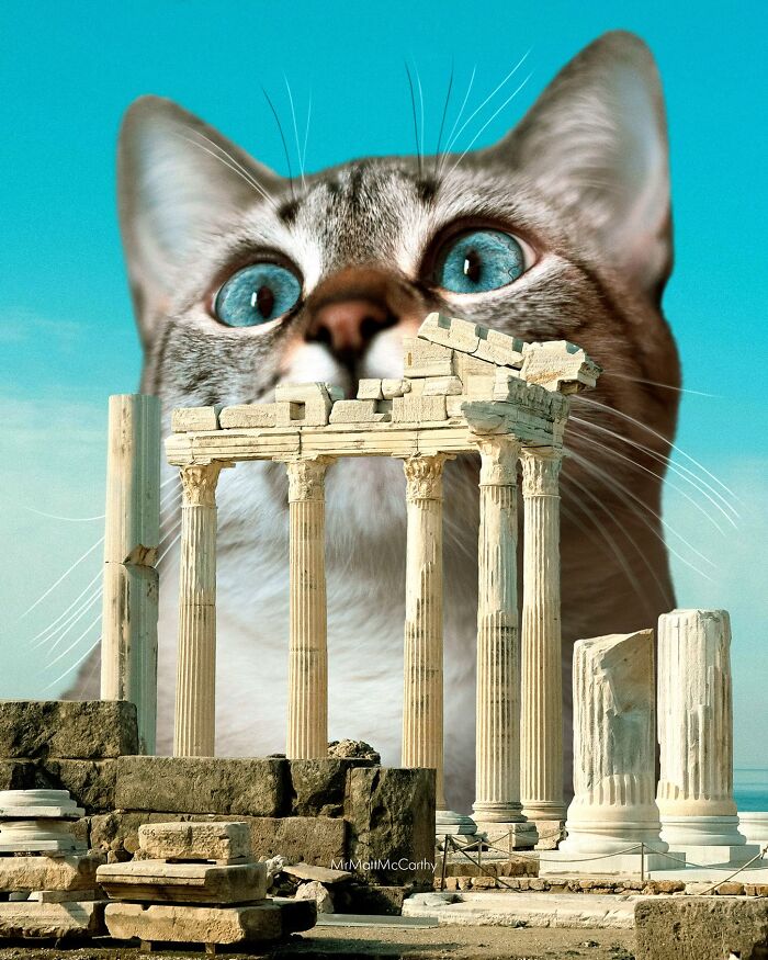 Giant cat with blue eyes towering over ancient ruins in a surreal parallel universe imagined by artist.