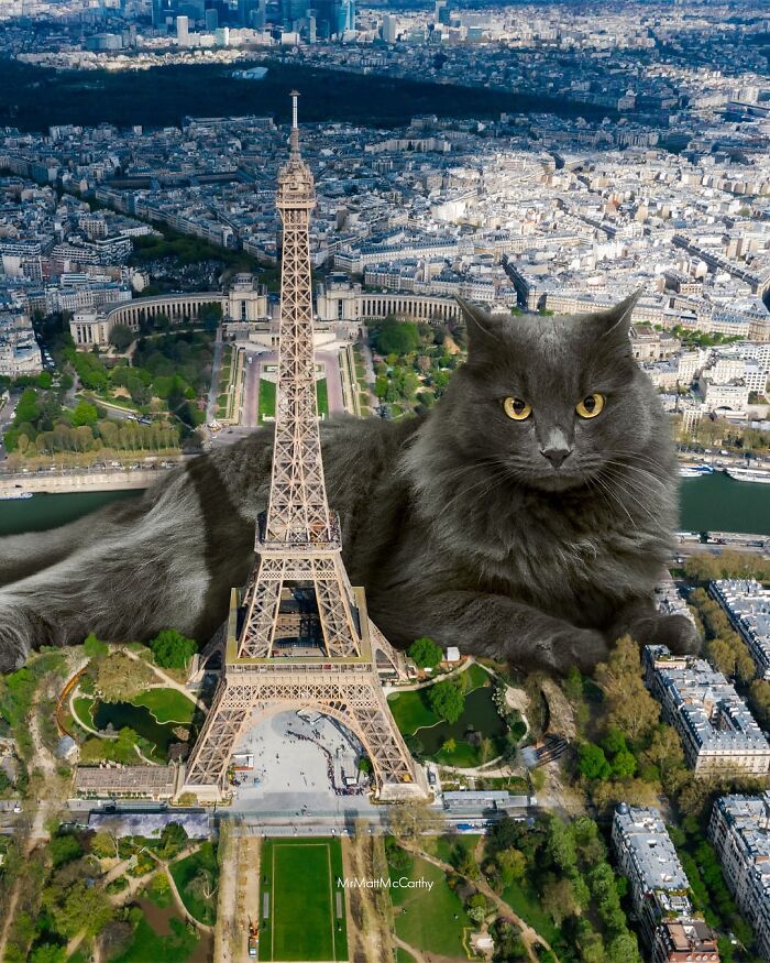 Giant cat lying next to the Eiffel Tower in a surreal parallel universe with oversized feline creatures.