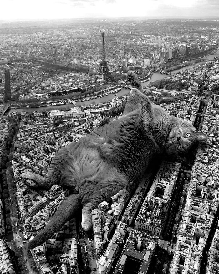 Giant cat lounging over Paris cityscape near Eiffel Tower in a surreal parallel universe art piece.