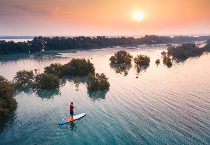 Paddleboarder exploring peaceful mangrove landscape at sunset in stunning mangrove photography awards scene.