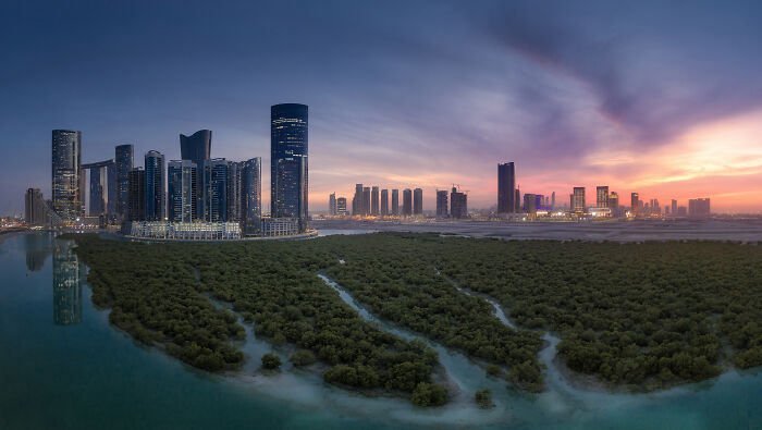 Panoramic view of a mangrove forest with city skyline at sunset, showcasing spectacular mangrove photography awards nature scenes.