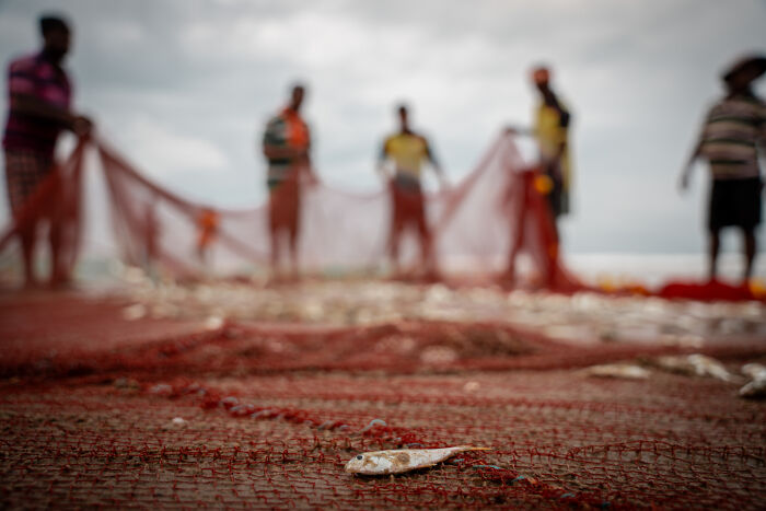 Small fish caught in red fishing net with fishermen blurred in background, highlighting mangrove ecosystem in photography awards.