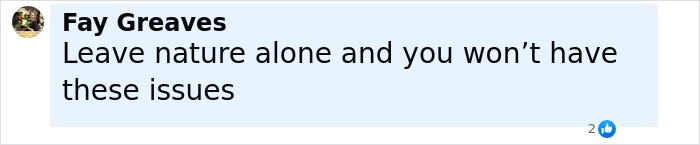 Comment from Fay Greaves on social media expressing concern about ignoring recovery instructions after plastic surgery. Comment from Fay Greaves on social media expressing concern about ignoring recovery instructions after plastic surgery.