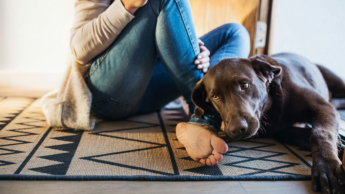 Woman sitting on floor with dog nearby, highlighting a dog accident related to nephewu2019s jacket and ignored warnings