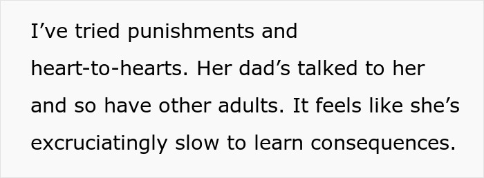 Text excerpt about a mom expressing frustration over her child's slow learning of consequences, sparking backlash.