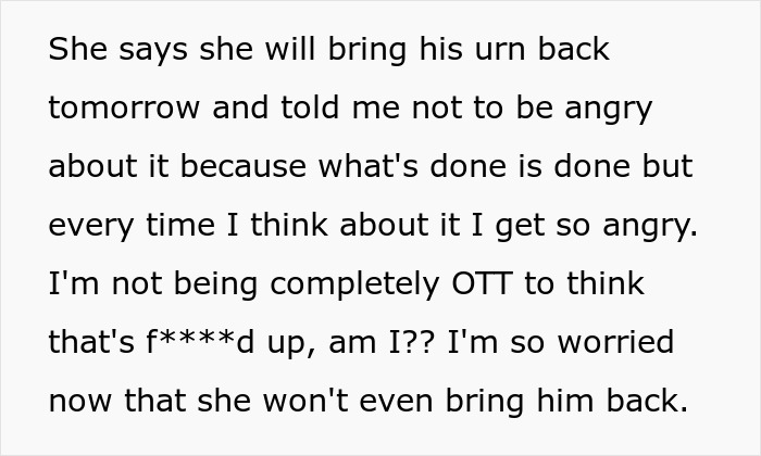 Text excerpt about an entitled grandma causing family drama after stealing grandson’s ashes and dismissing the issue.