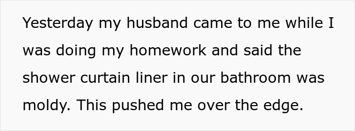 Text excerpt showing a student working mom overwhelmed by family complaints about household issues.
