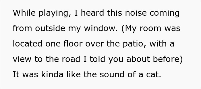Text on a white background describing hearing a noise outside the window near a patio with a view of the road, resembling a cat sound. Text on a white background describing hearing a noise outside the window near a patio with a view of the road, resembling a cat sound.