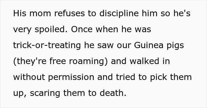 Spoiled kid scares pets by ignoring rules, neighbor refuses to babysit undisciplined child causing conflict with mom. Spoiled kid scares pets by ignoring rules, neighbor refuses to babysit undisciplined child causing conflict with mom.