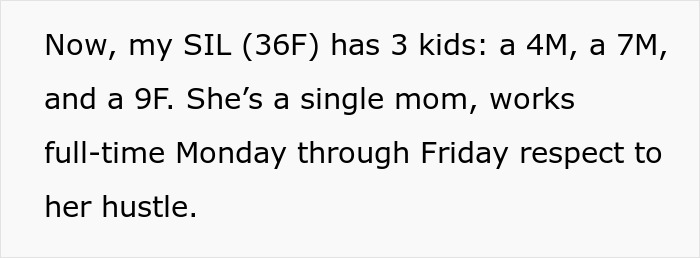 Text excerpt about a single mom with three kids managing full-time work while facing family and babysitting conflicts. Text excerpt about a single mom with three kids managing full-time work while facing family and babysitting conflicts.