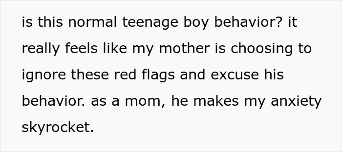 Text on screen expressing a mom’s anxiety and feeling unsafe around her autistic brother, concerns being brushed off.