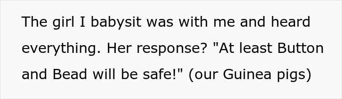 Text screenshot showing a comment about babysitting and a girl’s response mentioning safety of guinea pigs Button and Bead. Text screenshot showing a comment about babysitting and a girl’s response mentioning safety of guinea pigs Button and Bead.