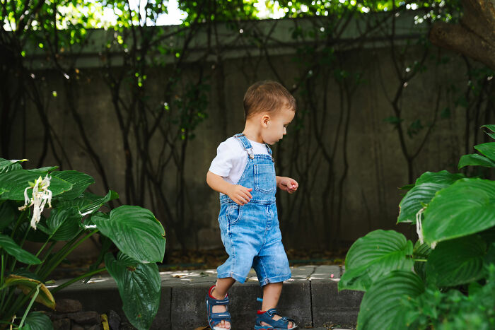 Young child in denim overalls walking outdoors surrounded by large green leaves, evoking creepy babysitter stories.