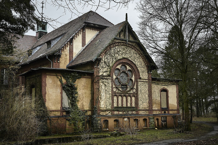 Old abandoned house covered in vines and surrounded by bare trees, setting a creepy scene for babysitter stories.