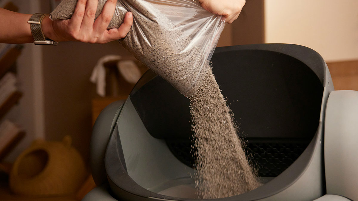 Person pouring cat litter into a modern home litter box, highlighting common home red flags on a first date.