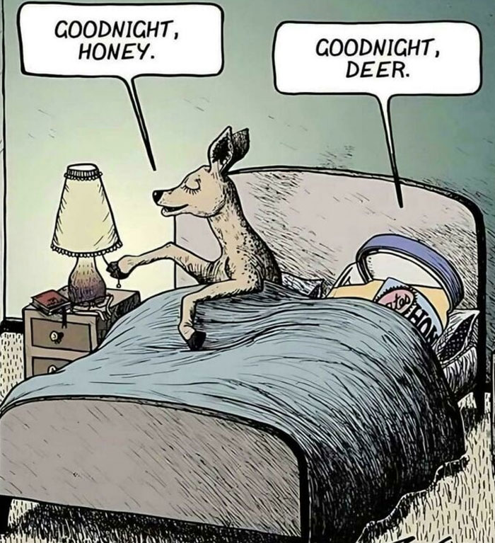 Cartoon of a deer and person in bed exchanging goodnight greetings, illustrating cringy jokes about boomers and the internet.