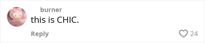 Instagram comment saying this is CHIC with 24 likes, highlighting positive user feedback on period leaks normalization. Instagram comment saying this is CHIC with 24 likes, highlighting positive user feedback on period leaks normalization.