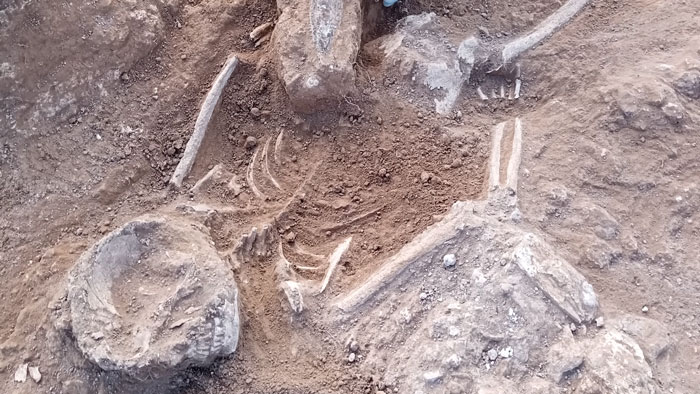 Ancient human skeletons partially uncovered by workers digging to build solar farm, revealing 5000-year-old fortress remains. Ancient human skeletons partially uncovered by workers digging to build solar farm, revealing 5000-year-old fortress remains.