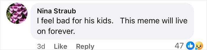 Comment on social media expressing sympathy for children and mentioning a lasting meme in a light gray text box. Comment on social media expressing sympathy for children and mentioning a lasting meme in a light gray text box.