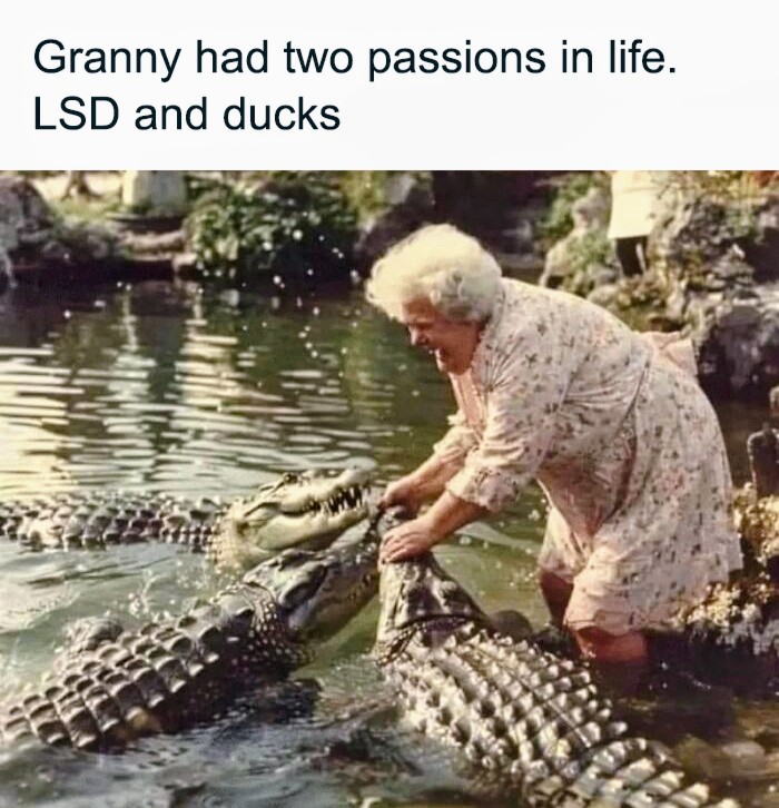 Grandma Loves A Duck