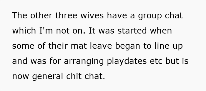 Text excerpt showing a woman refusing to be the go-to nanny during a couples’ trip, impacting the group vibe. Text excerpt showing a woman refusing to be the go-to nanny during a couples’ trip, impacting the group vibe.