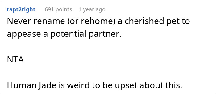 Text conversation showing a Reddit comment about refusing to rename a cherished pet for a partner, related to cat rename dispute. Text conversation showing a Reddit comment about refusing to rename a cherished pet for a partner, related to cat rename dispute.