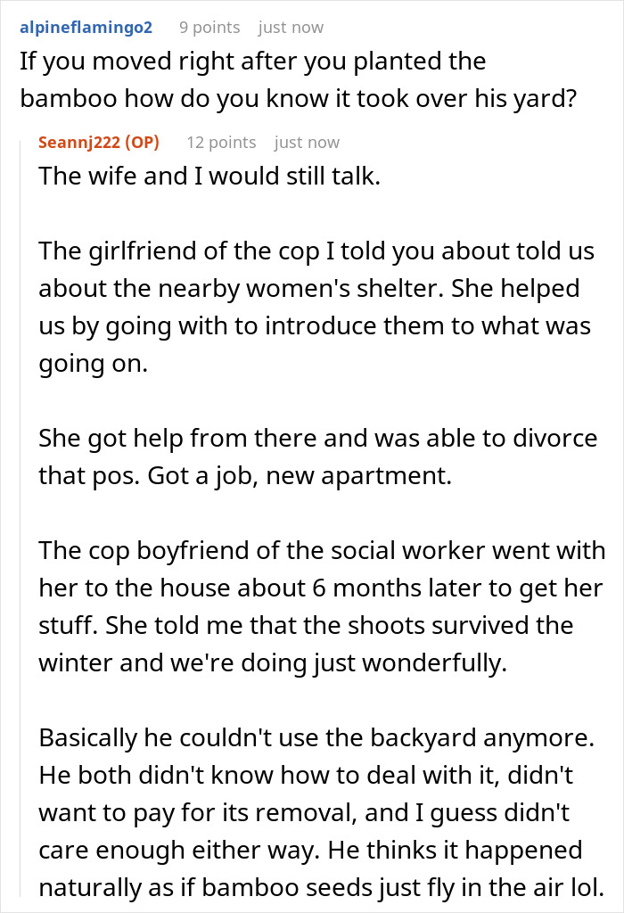 Redemption and revenge with bamboo in a domestic violence victim's escape and perpetrator's garden dispute discussion. Redemption and revenge with bamboo in a domestic violence victim's escape and perpetrator's garden dispute discussion.