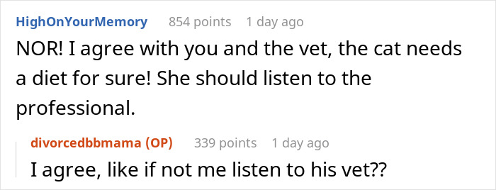 Screenshot of a conversation about a severely overweight cat needing a diet and advice from a vet. Screenshot of a conversation about a severely overweight cat needing a diet and advice from a vet.