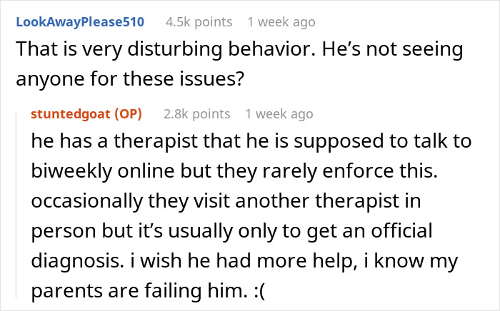 Reddit user discussing concerns about safety and lack of support for autistic brother with family dismissing fears. Reddit user discussing concerns about safety and lack of support for autistic brother with family dismissing fears.