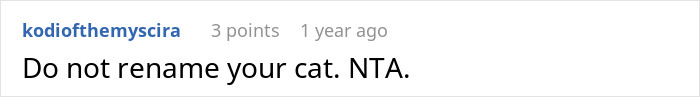 Screenshot of a user comment stating Do not rename your cat with a username visible and a 3-point score. Screenshot of a user comment stating Do not rename your cat with a username visible and a 3-point score.
