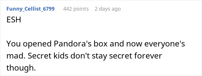 Comment discussing a man with a secret kid revealed by his nosy sister causing family conflict and potential divorce.