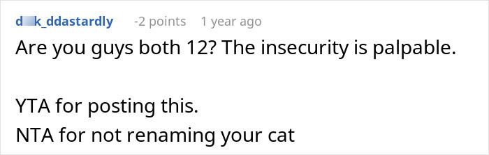Screenshot of an online comment discussing a partner refusing to rename a cat amid relationship tension. Screenshot of an online comment discussing a partner refusing to rename a cat amid relationship tension.