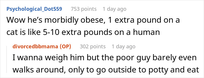 Text conversation discussing a severely overweight cat and its limited mobility and eating habits. Text conversation discussing a severely overweight cat and its limited mobility and eating habits.