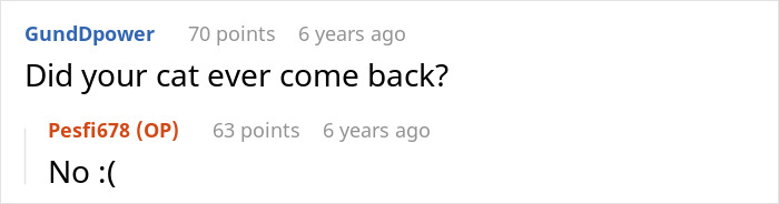 Screenshot of an online conversation with user GundDpower asking about a cat and user Pesfi678 replying no. Screenshot of an online conversation with user GundDpower asking about a cat and user Pesfi678 replying no.