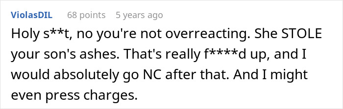 Comment expressing outrage over entitled grandma causing family drama by stealing grandson’s ashes and suggesting legal action.